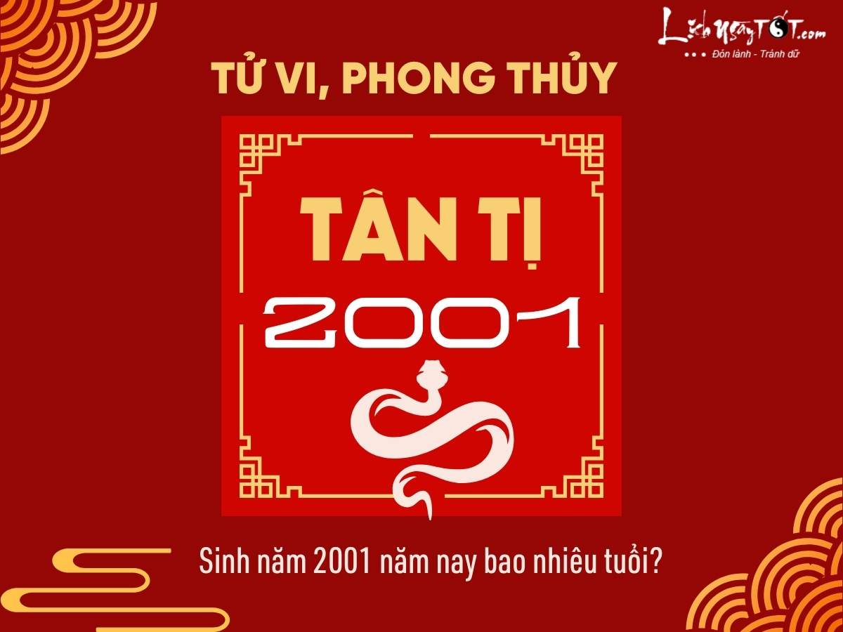 2001 Tuổi Con Gì? Khám Phá Bí Ẩn Về Tuổi Tân Tỵ và Cách Tính Tuổi Chuẩn Xác