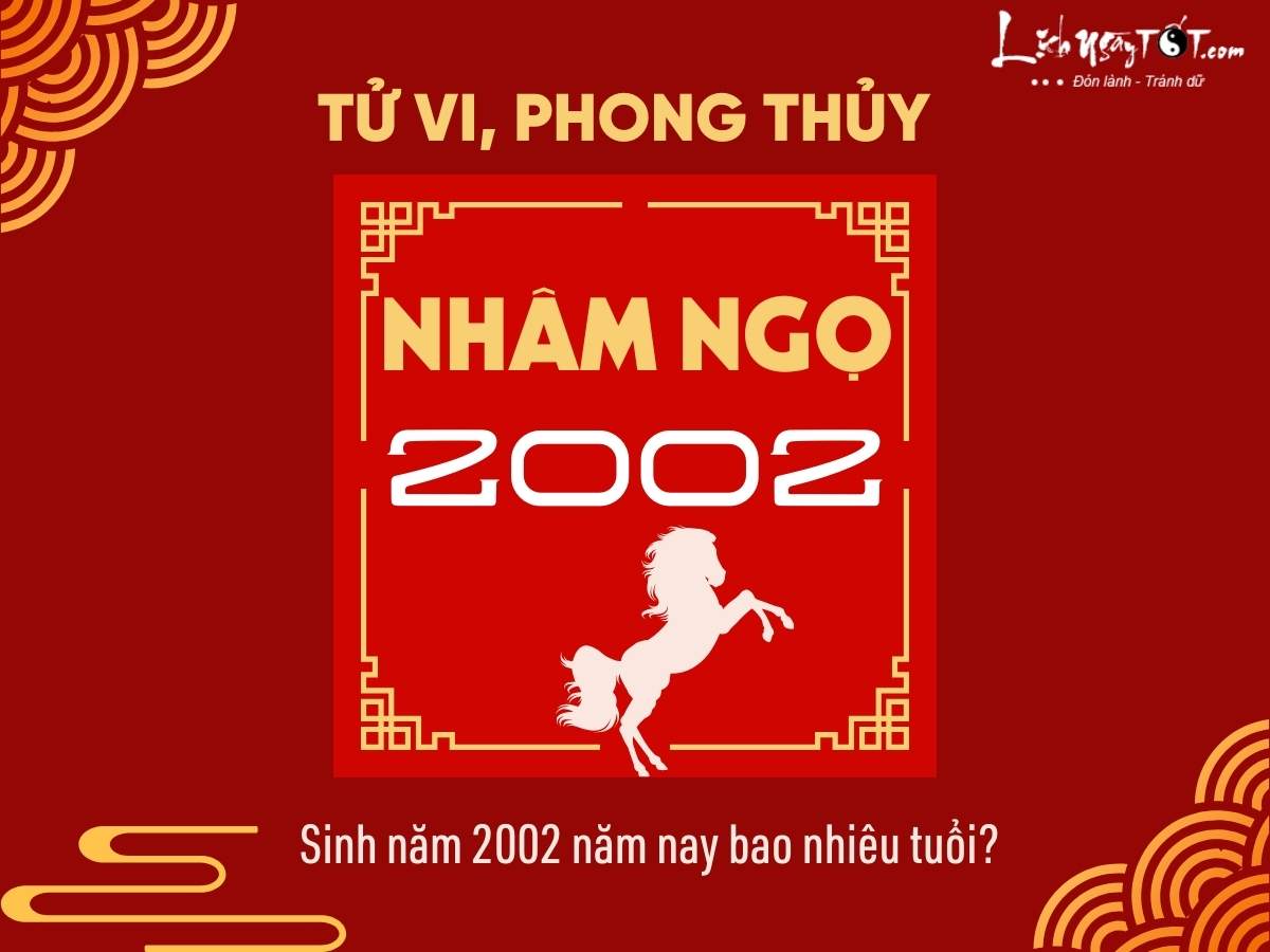 "2002 tuổi con gì, bao nhiêu tuổi?" - Bí mật của tuổi Nhâm Ngọ