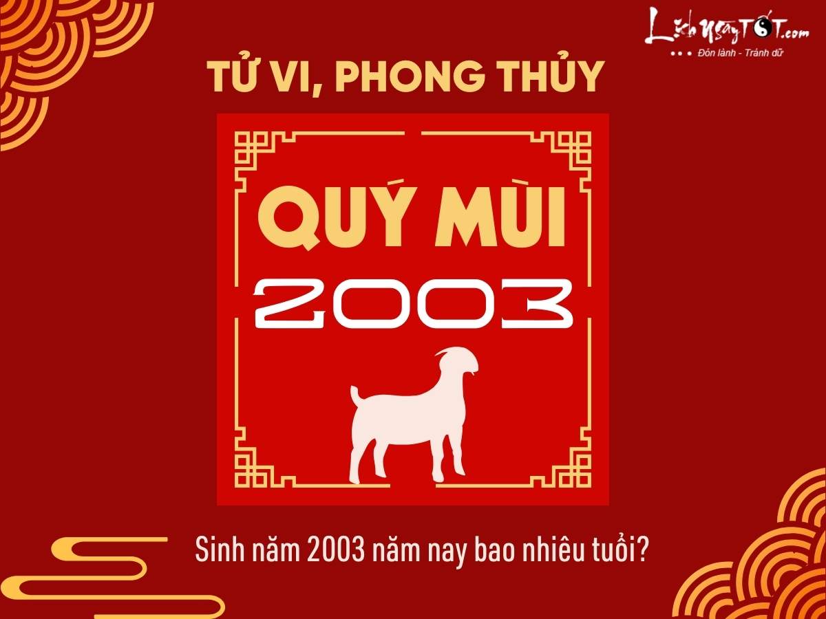 Sinh nam 2003 nam nay bao nhieu tuoi?