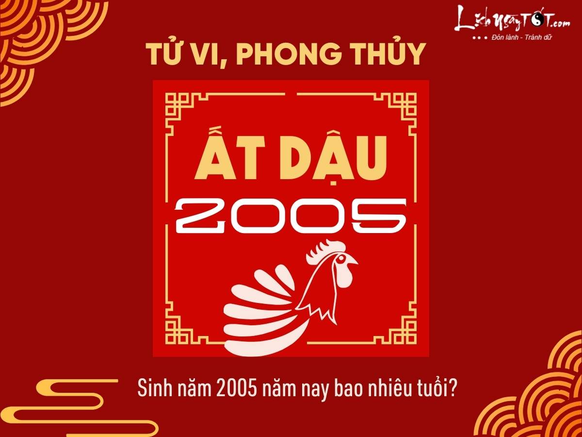 Sinh nam 2005 nam nay bao nhieu tuoi?