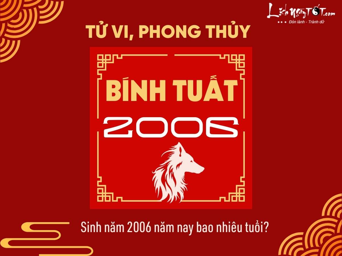 Sinh nam 2006 nam nay bao nhieu tuoi?