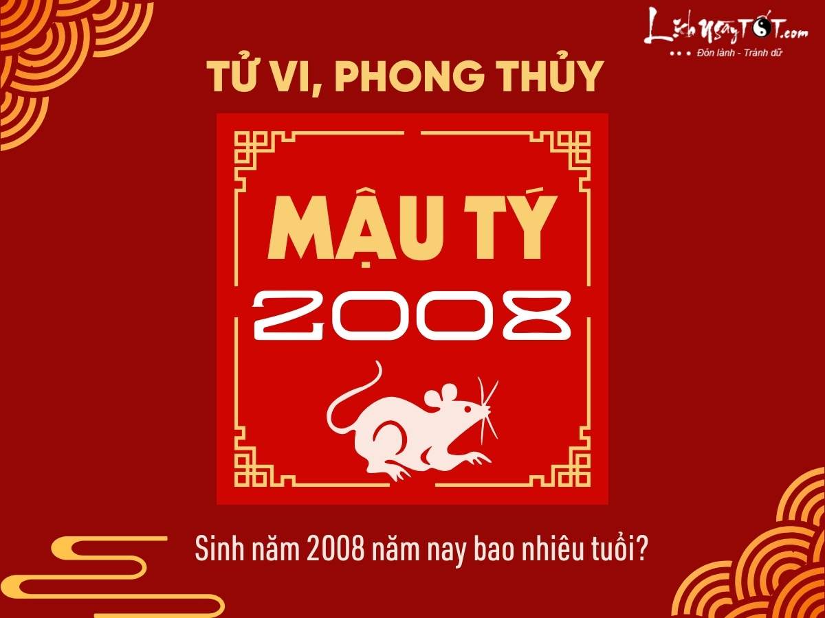 Sinh nam 2008 nam nay bao nhieu tuoi?