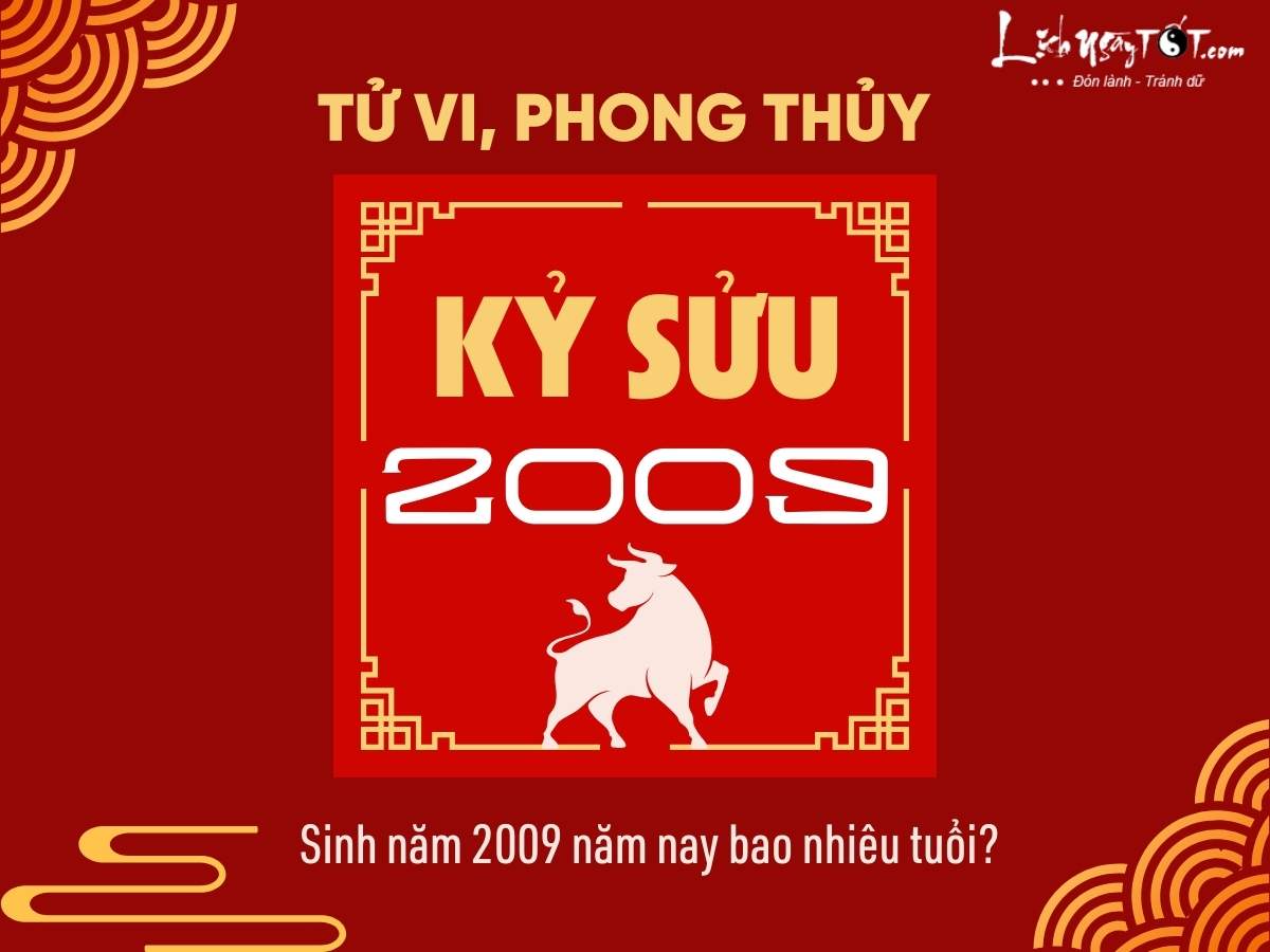 Sinh nam 2009 nam nay bao nhieu tuoi?