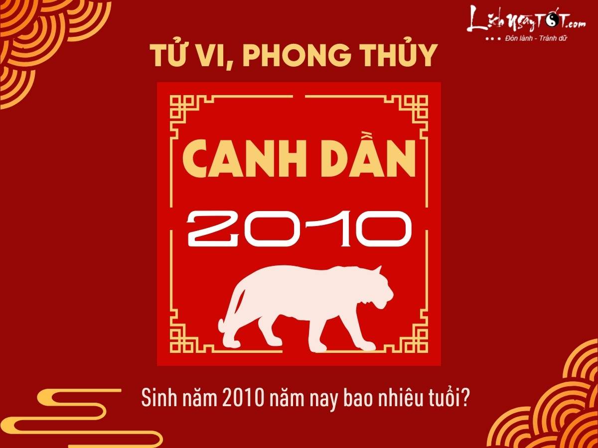 Sinh nam 2010 nam nay bao nhieu tuoi?