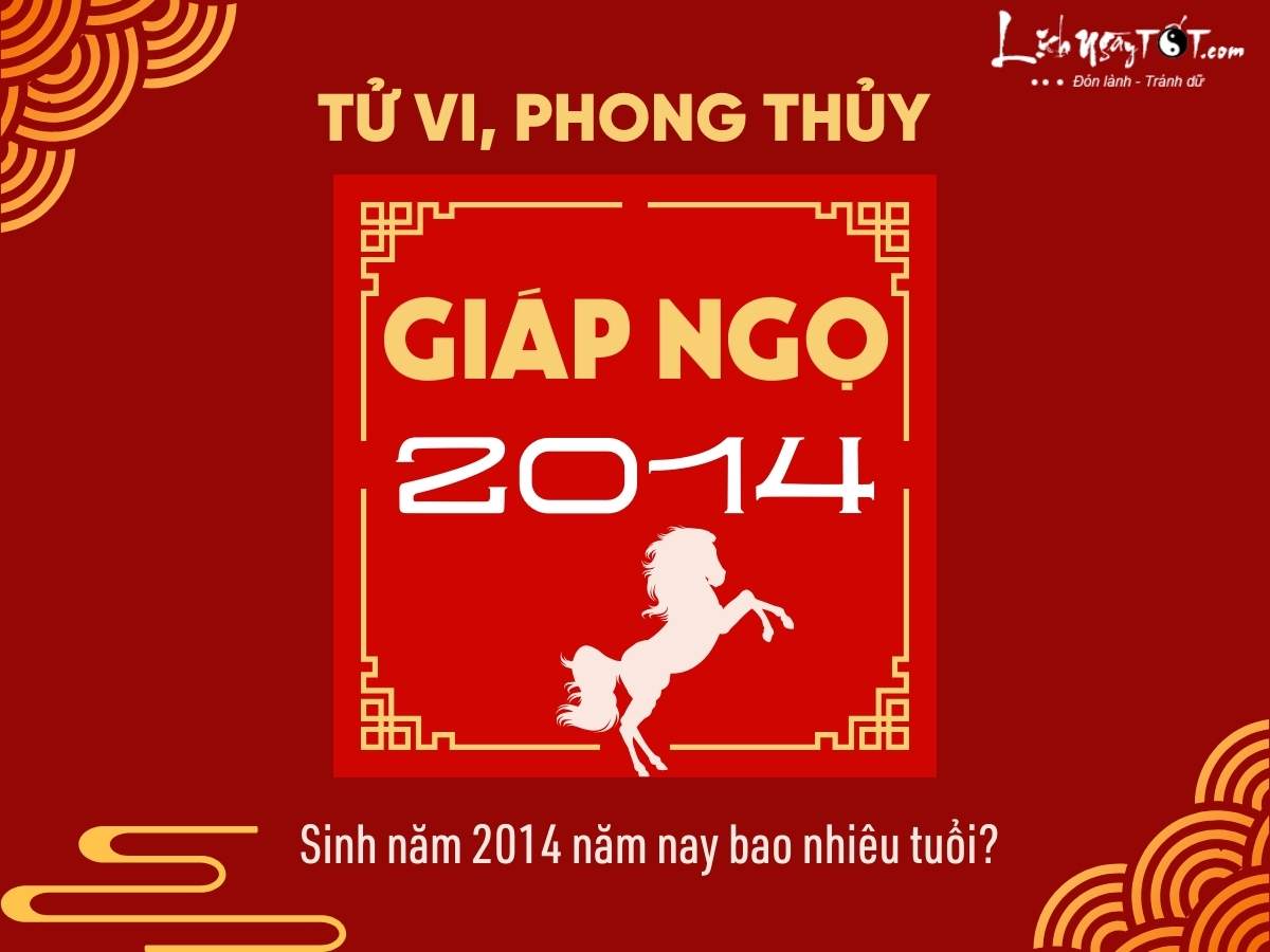 Sinh nam 2014 nam nay bao nhieu tuoi?