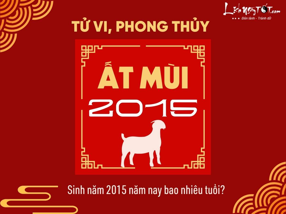 Sinh nam 2015 nam nay bao nhieu tuoi?