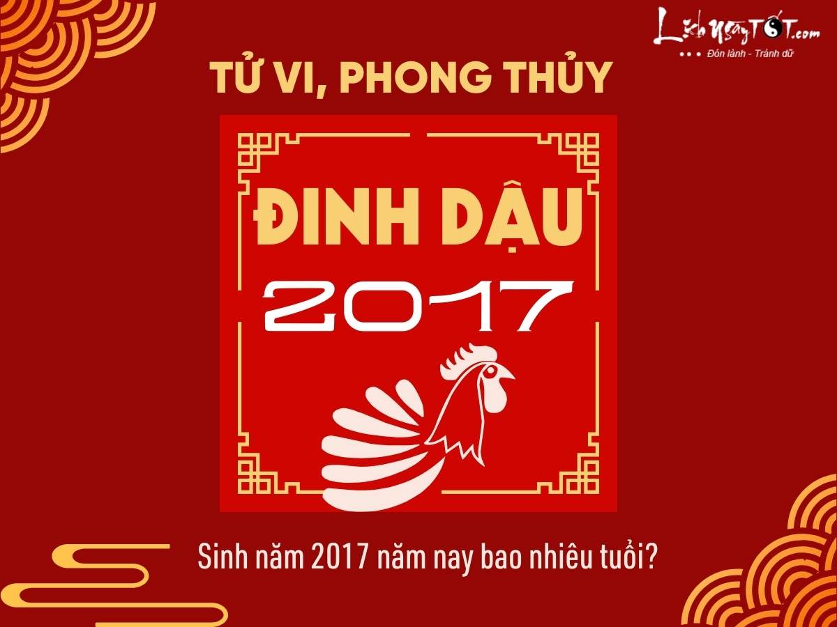 Sinh nam 2017 nam nay bao nhieu tuoi?