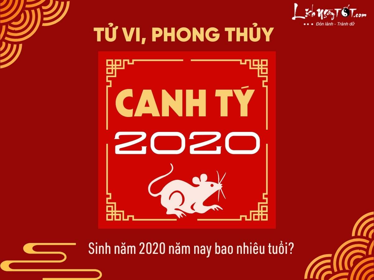 Sinh nam 2020 nam nay bao nhieu tuoi?