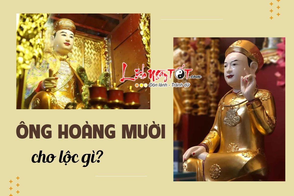 Can ong Hoang Muoi cho loc gi