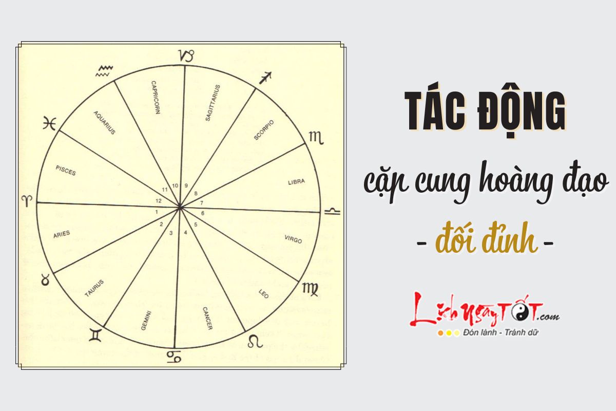 Tac dong cua cac cap cung hoang dao doi dinh trong chiem tinh