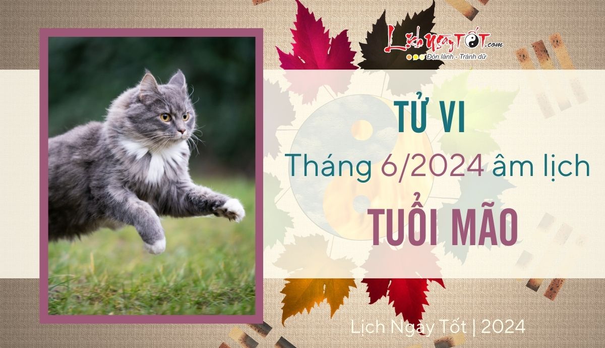 Tu vi thang 6/2024 tuoi Mao am lich