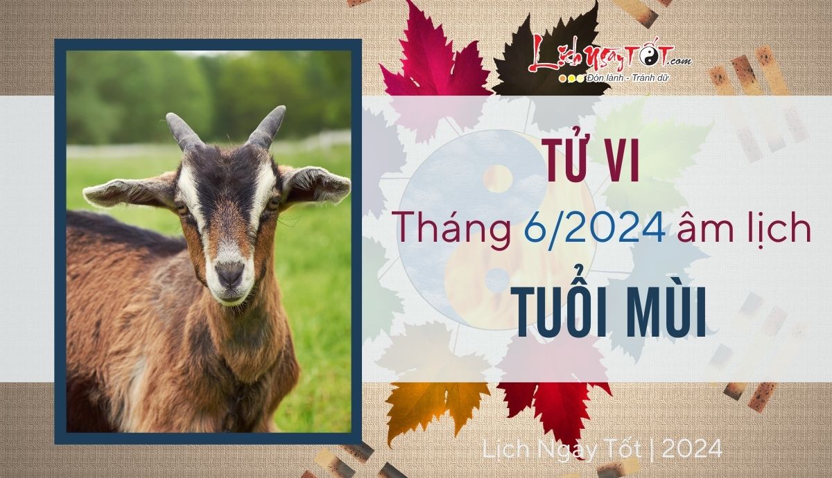 Tu vi thang 6/2024 tuoi Mui am lich