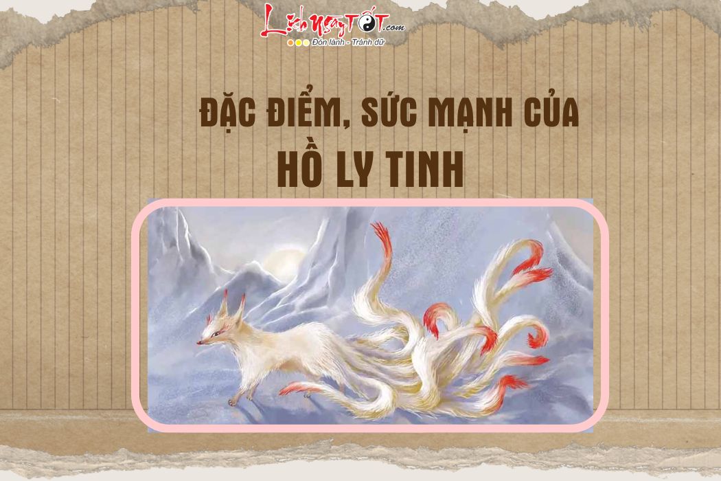 Dac diem cua ho ly tinh