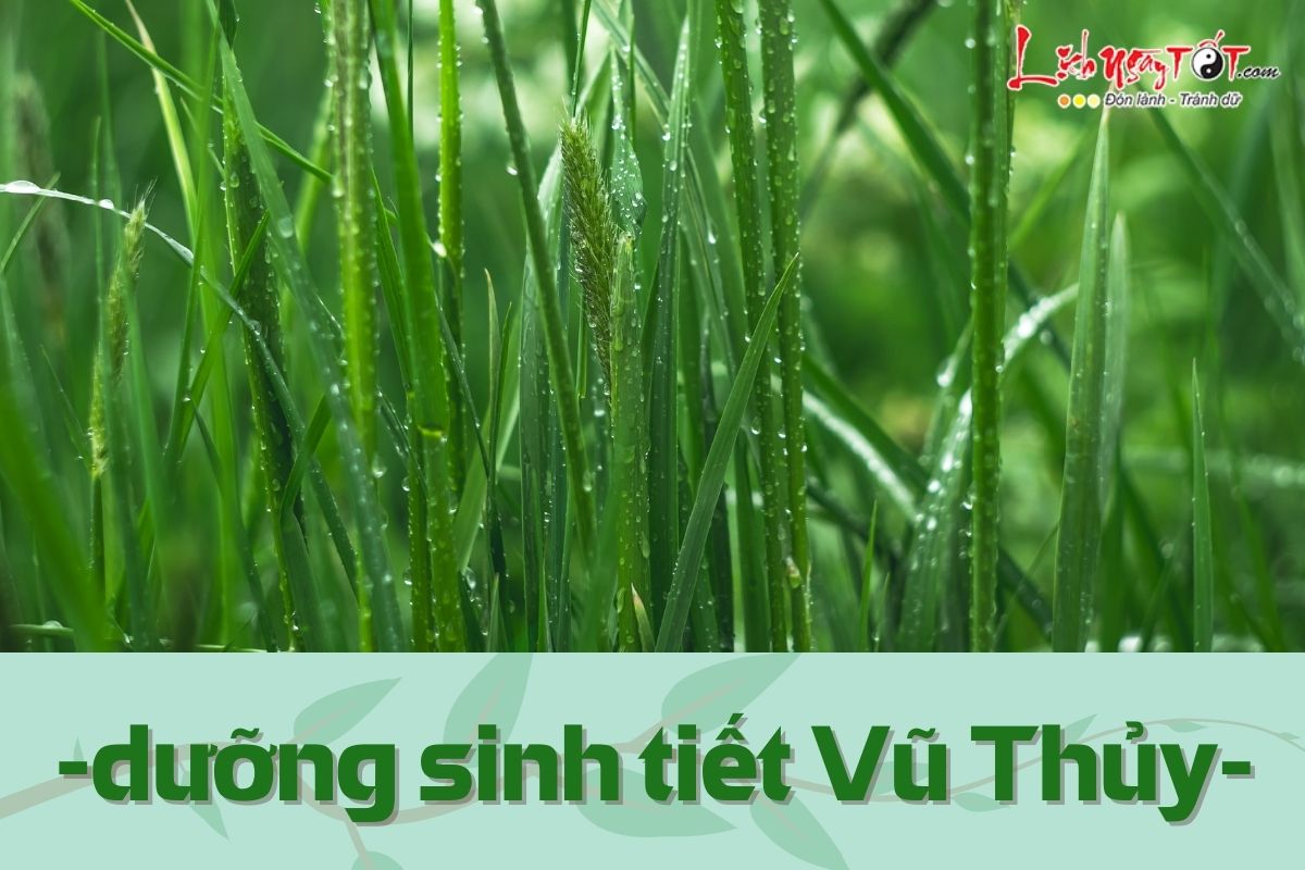 Duong sinh tiet Vu Thuy