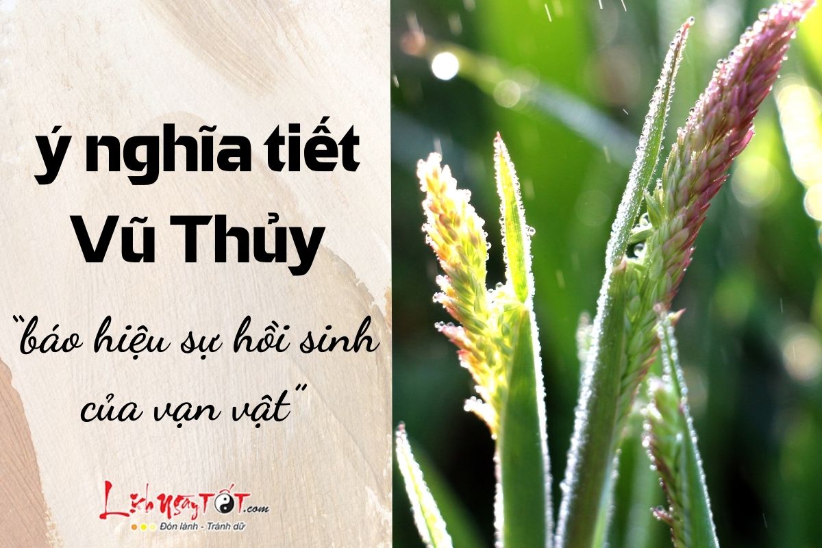 Y nghia tiet Vu Thuy