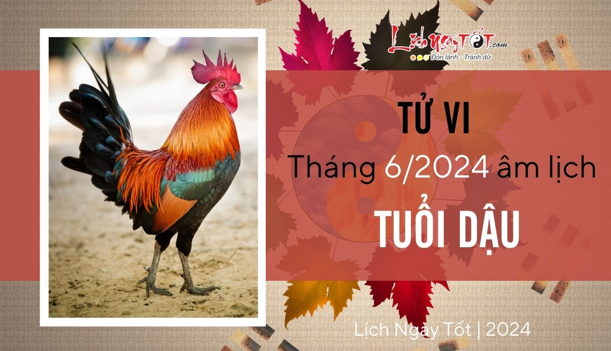 Tu vi thang 6/2024 tuoi Dau am lich