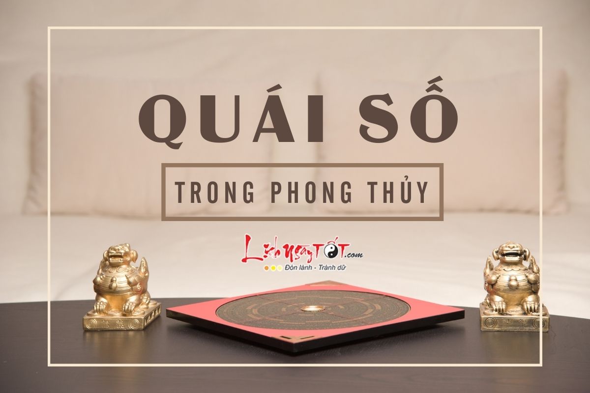 Quai so trong phong thuy