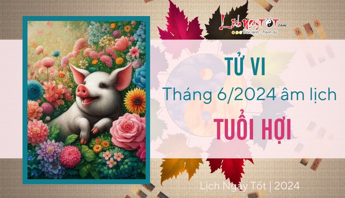 Tu vi thang 6/2024 tuoi Hoi am lich