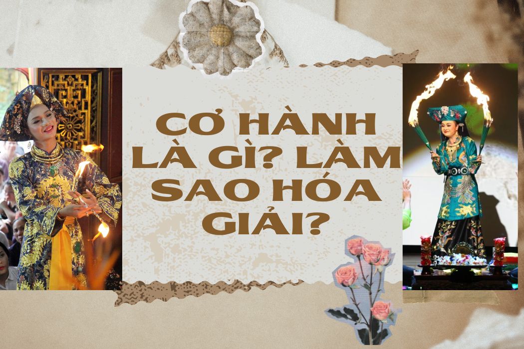 Co hanh la gi Co giai phap gi thoat khoi co hanh hay khong?