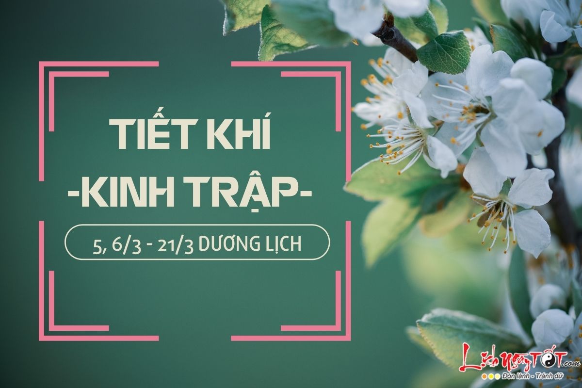 Kinh tế và quản trị kinh doanh là gì? Tầm quan trọng và cơ hội phát triển