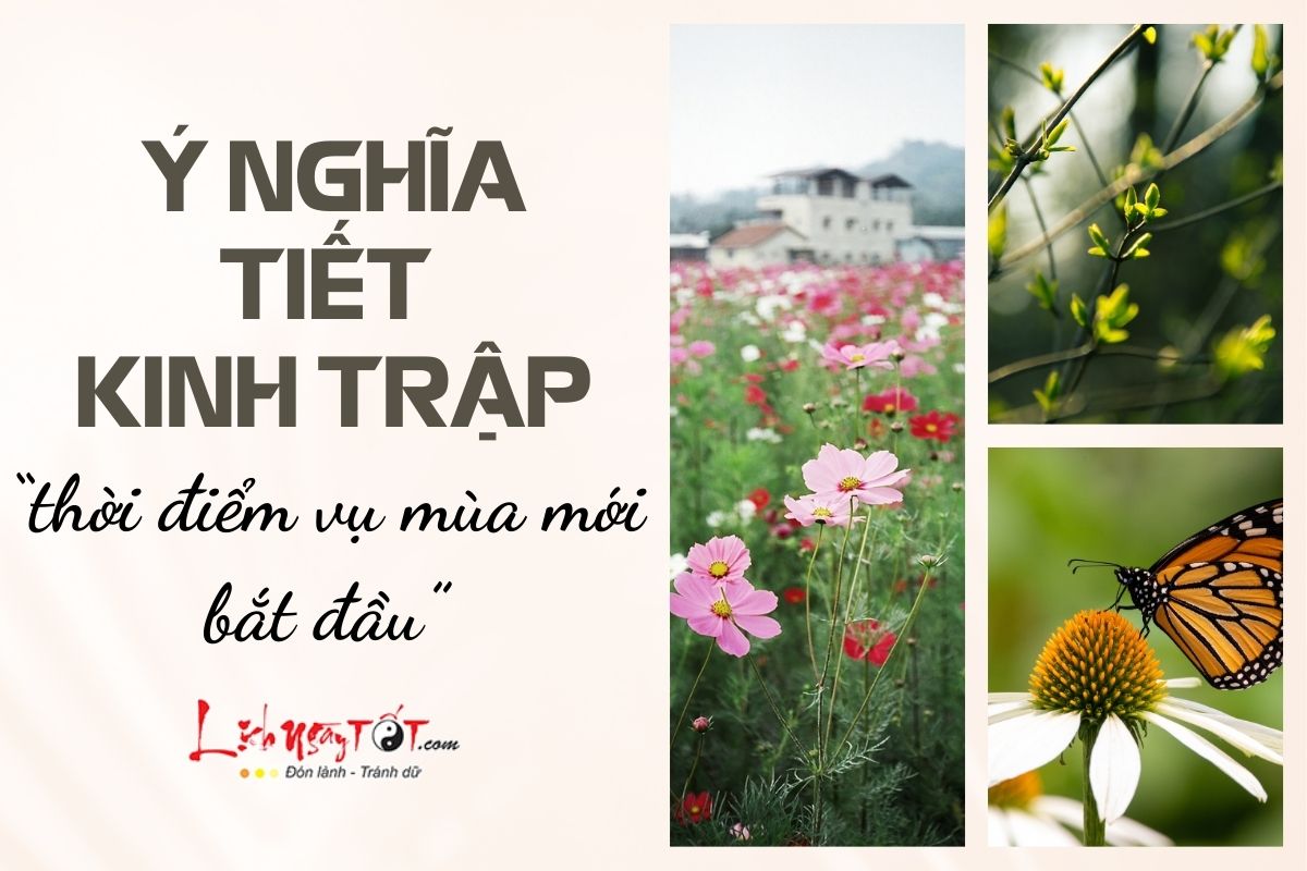 Y nghia tiet Kinh Trap