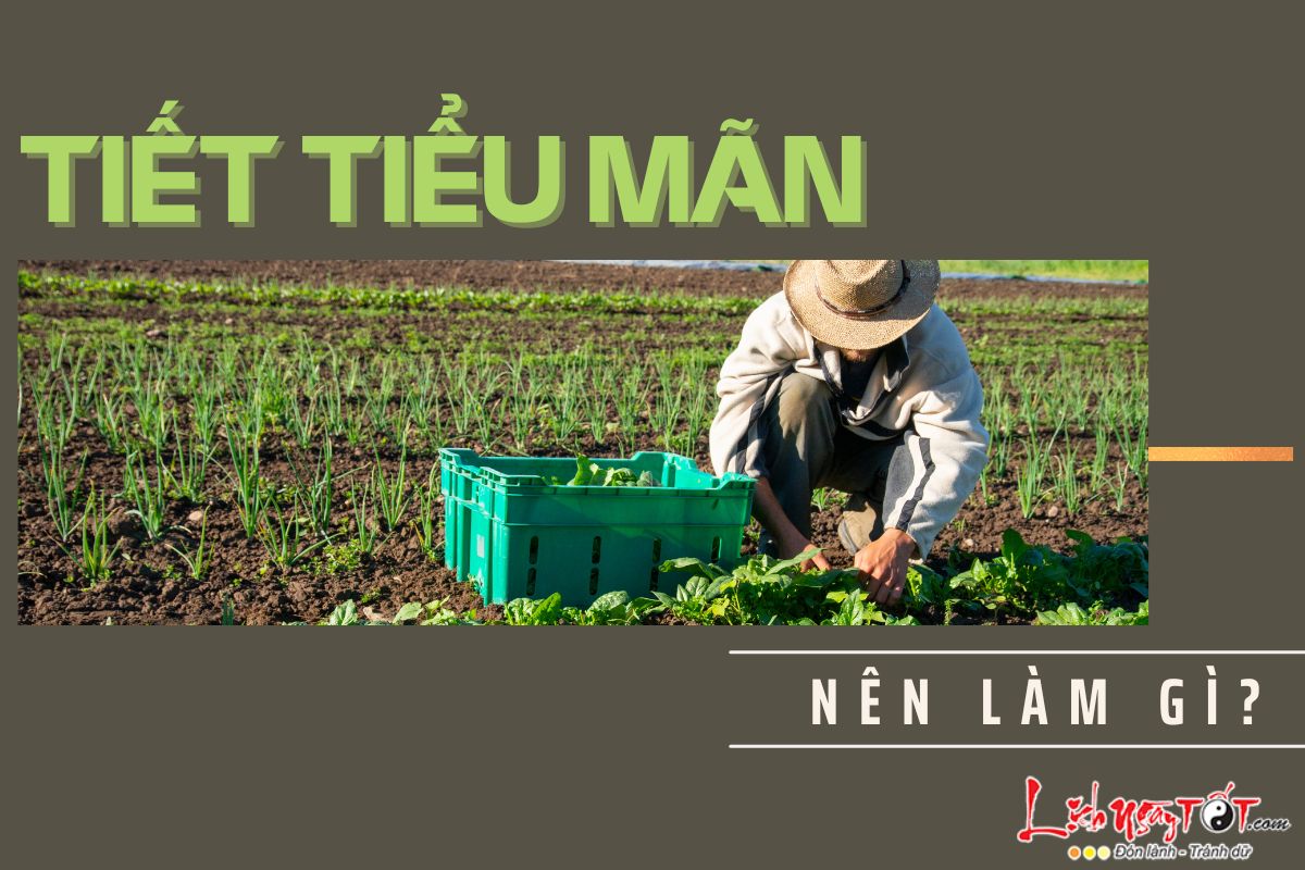 Tiet Tieu Man nen lam gi