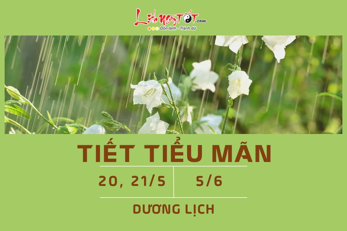 Tiet Tieu Man