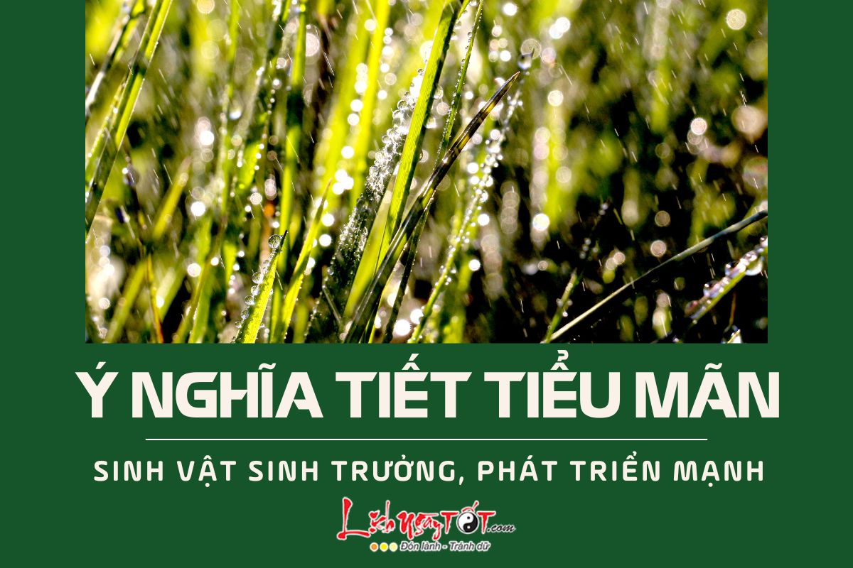 Y nghia tiet Tieu Man