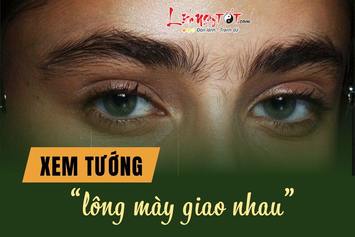 PHỤ NỮ CÓ LÔNG MÀY GIAO NHAU GẶP KHÓ KHĂN TRONG CÁC MỐI QUAN HỆ XÃ HỘI