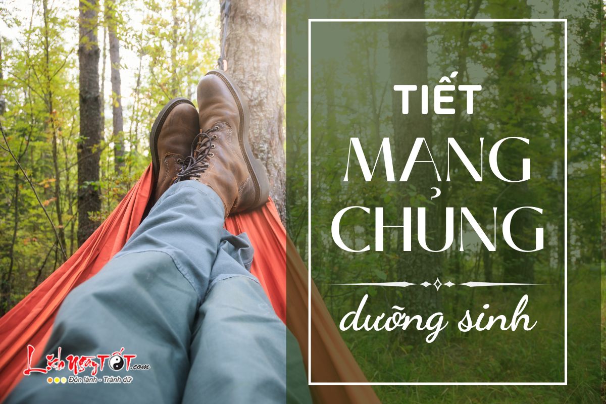 Duong sinh tiet Mang Chung