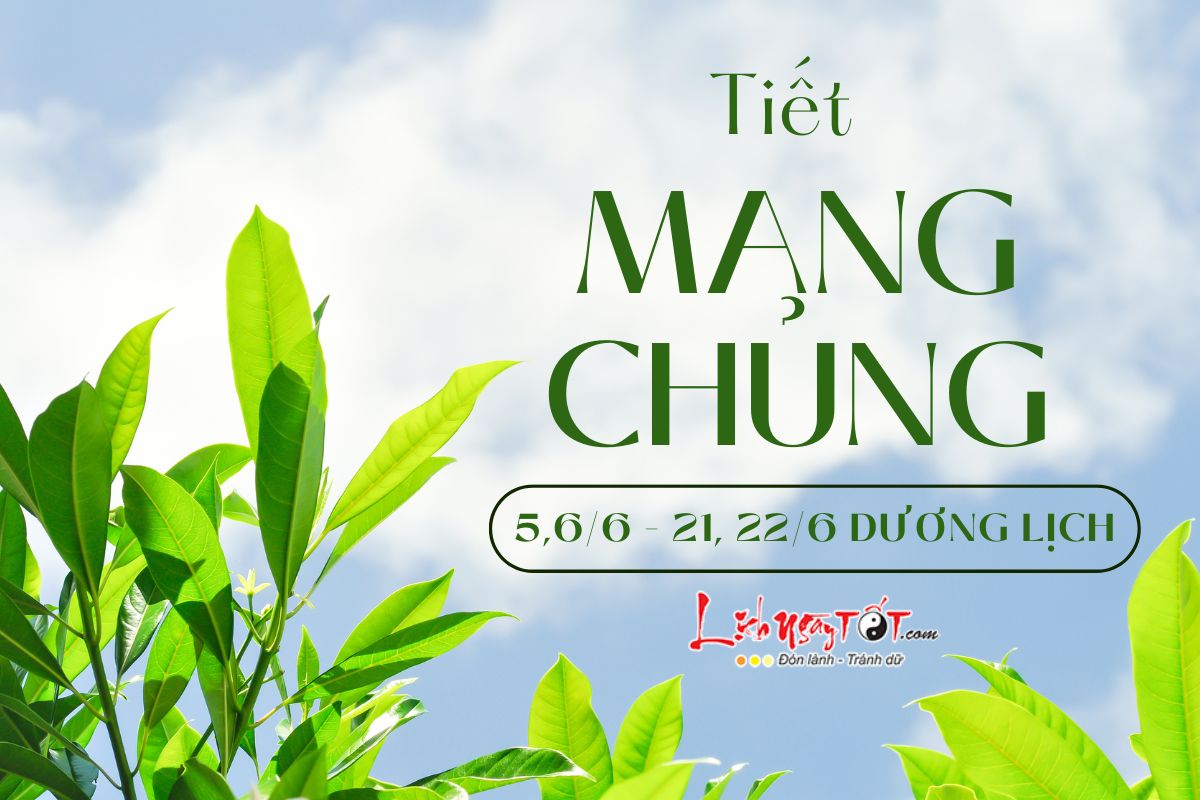 Tiet Mang Chung