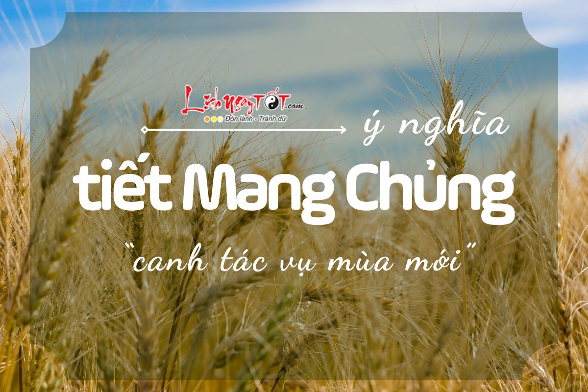 Y nghia tiet Mang Chung