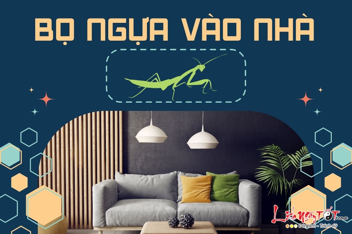 Bo ngua vao nha