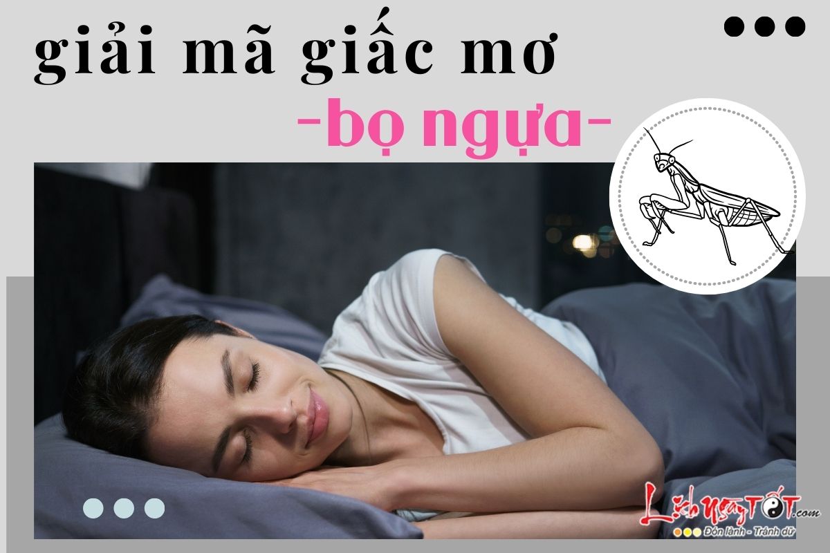 Giac mo bo ngua