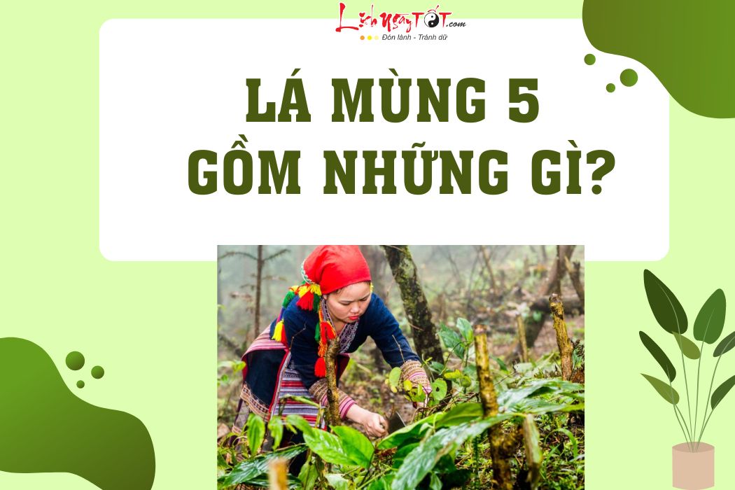 La mung 5 gom nhung gi