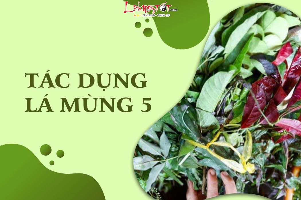 Tac dung la mung 5