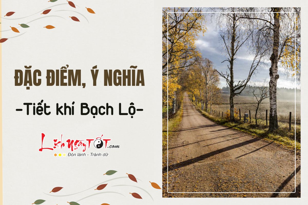 Dac diem, y nghia tiet Bach Lo la gi