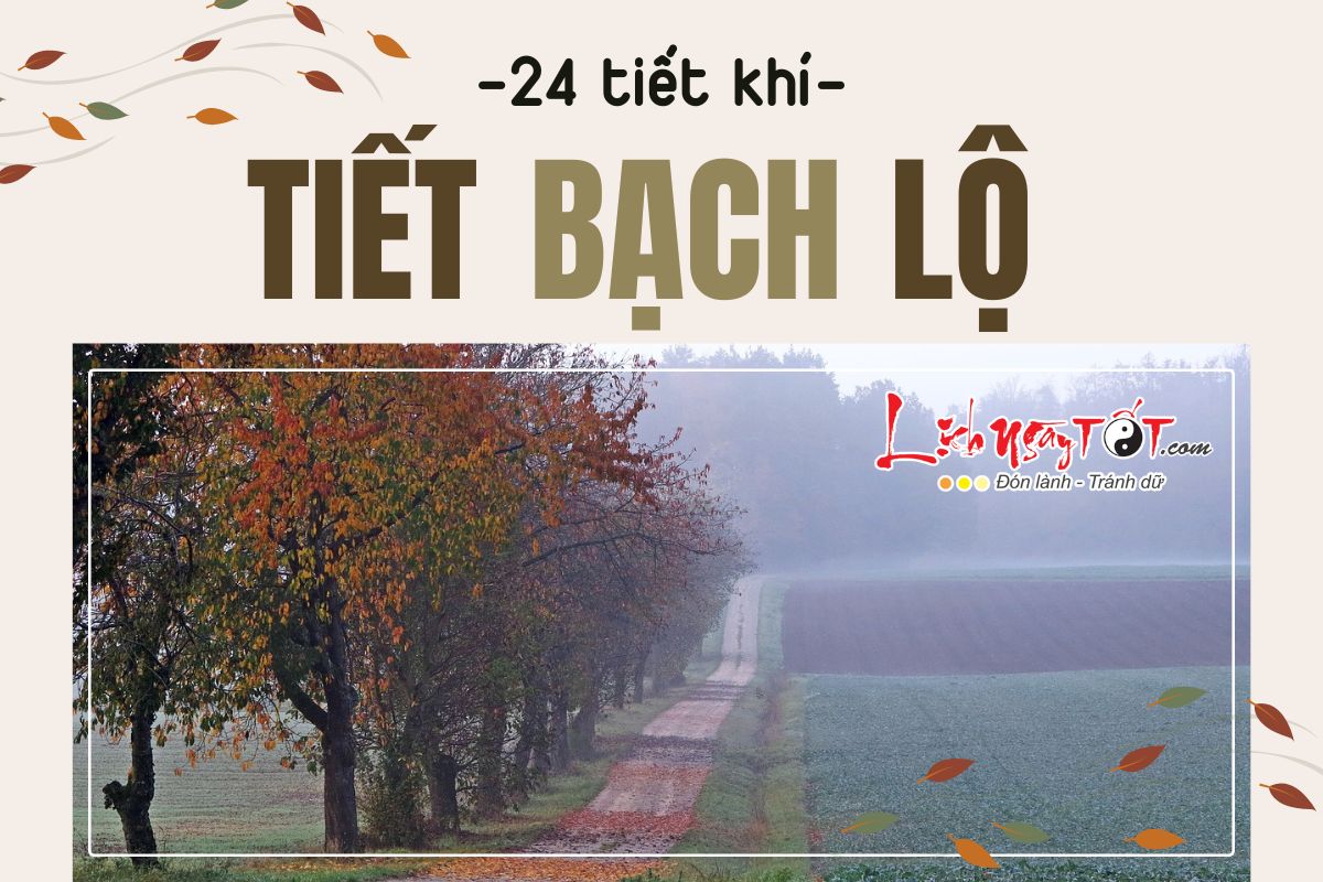 Tiet Bach Lo la gi