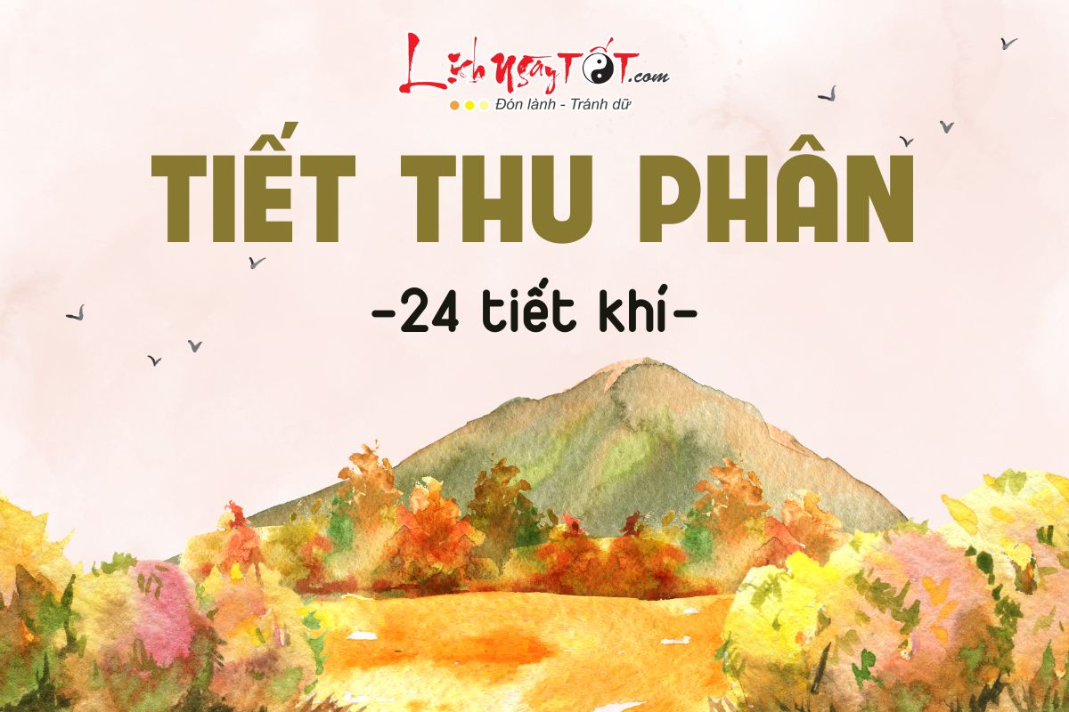 Tiet Thu Phan la gi