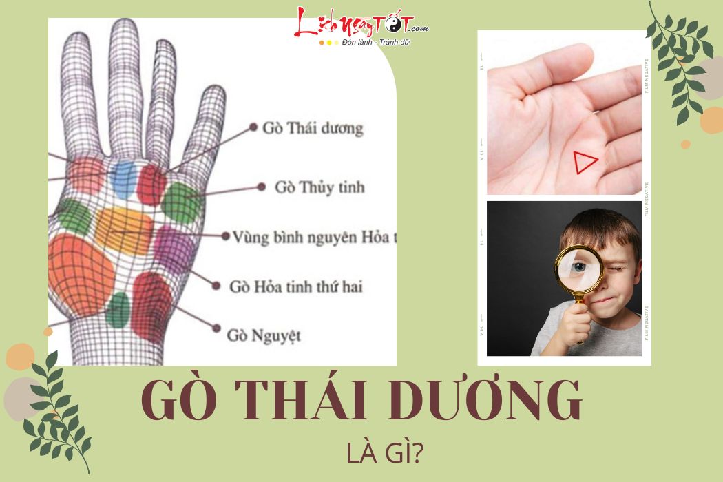 Go Thai Duong la gi