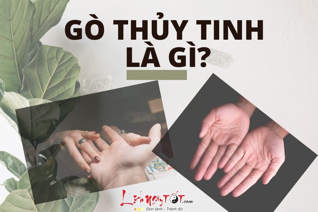 Khai niem go thuy tinh la gi