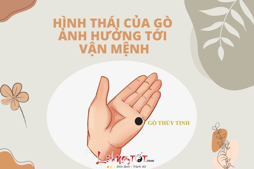 Anh huong cua hinh thai go thuy tinh