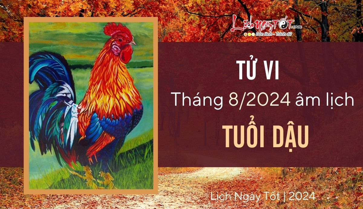 Tu vi thang 8/2024 tuoi Dau am lich