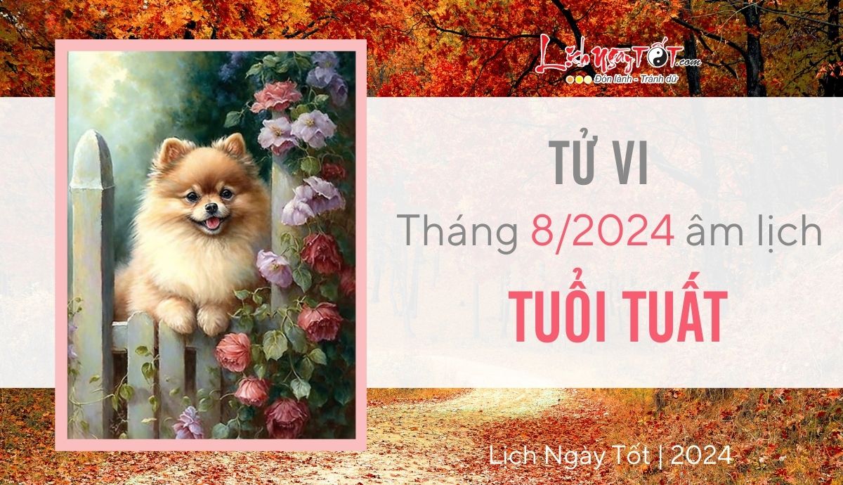 Tu vi thang 8/2024 tuoi Tuat am lich