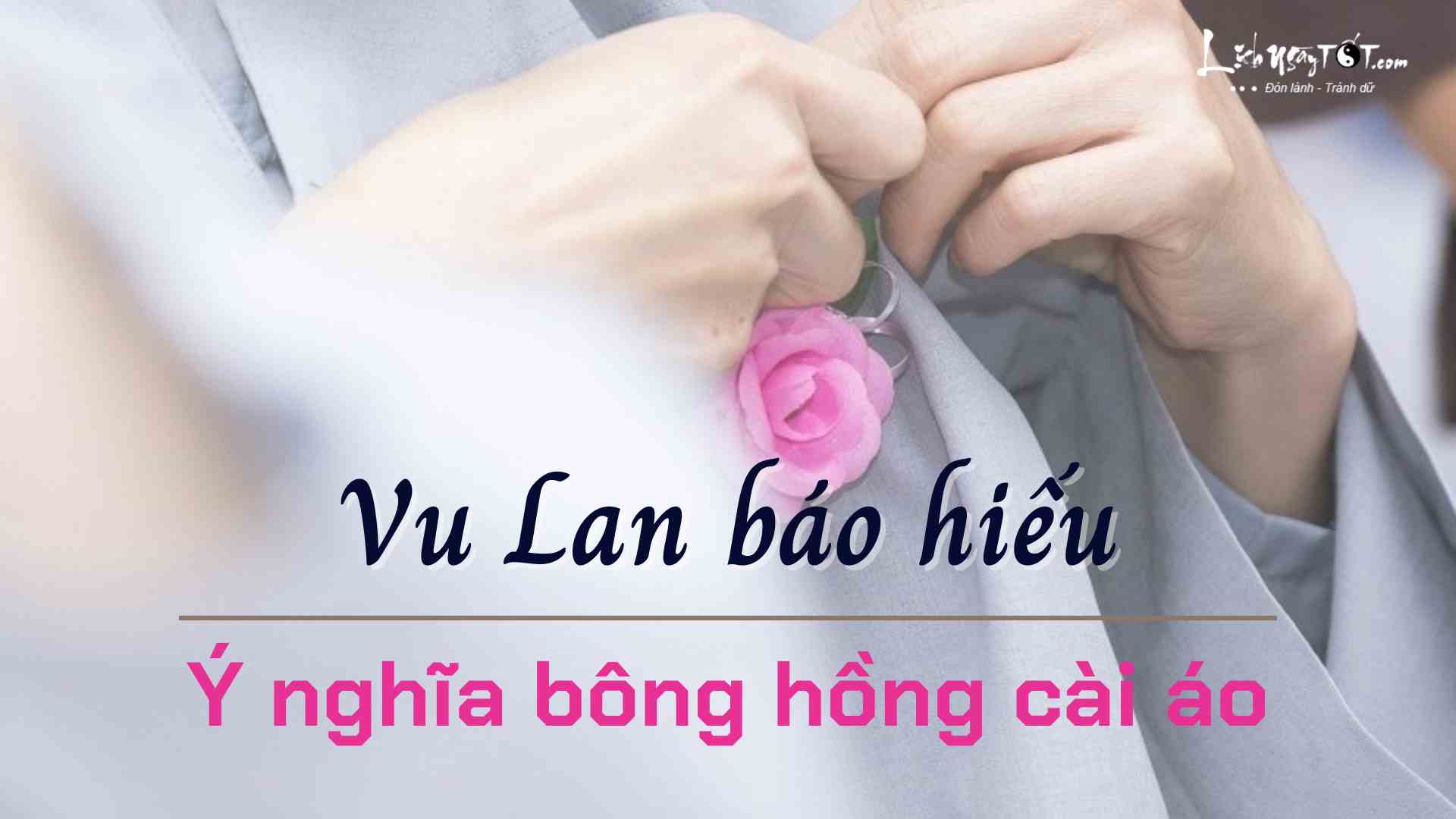 Y nghia bong hong cai ao mua Vu Lan