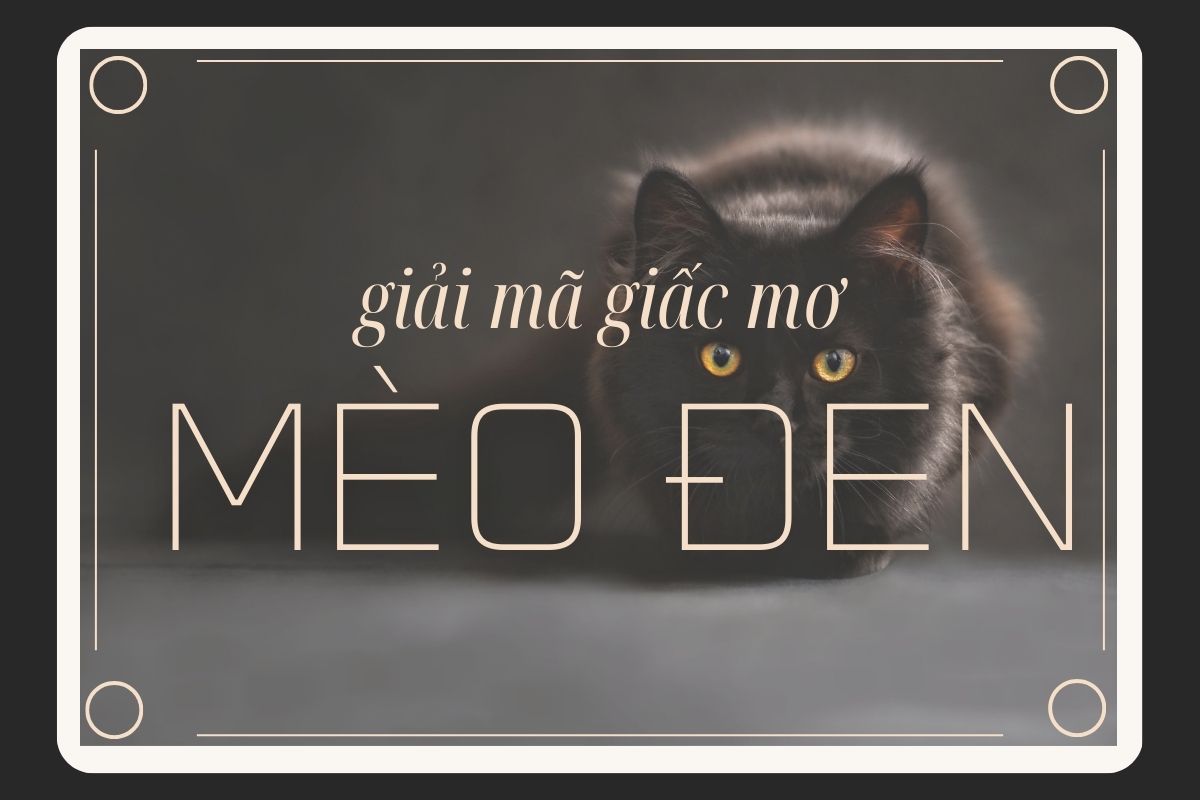 Giai ma giac mo thay meo den