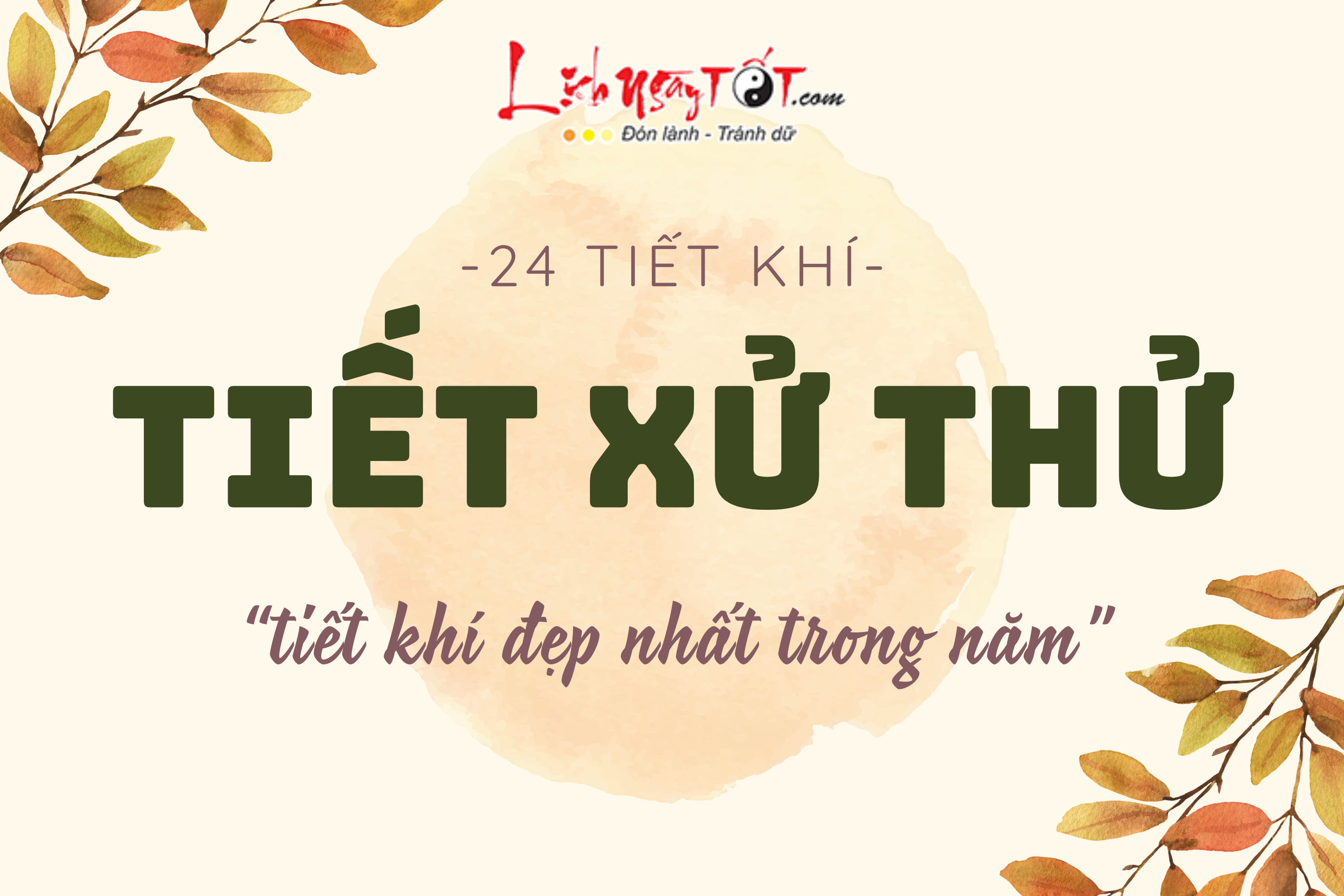 Tiet Xu Thu la gi