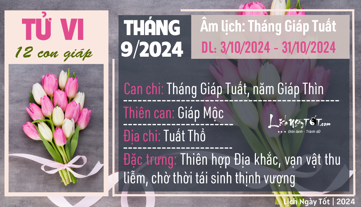 Tong quan tu vi thang 9/2024 am lich cua 12 con giap