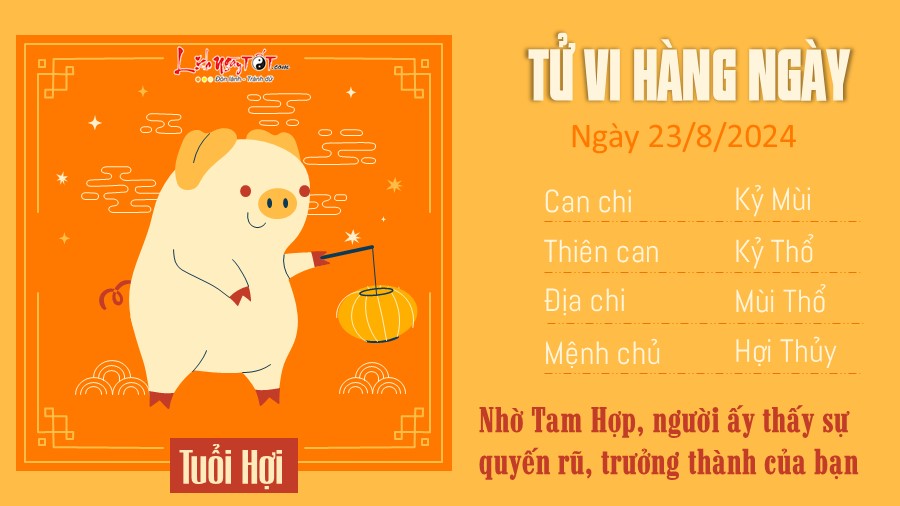 Tu vi hang ngay 23/8/2024 cua 12 con giap - tuoi Hoi