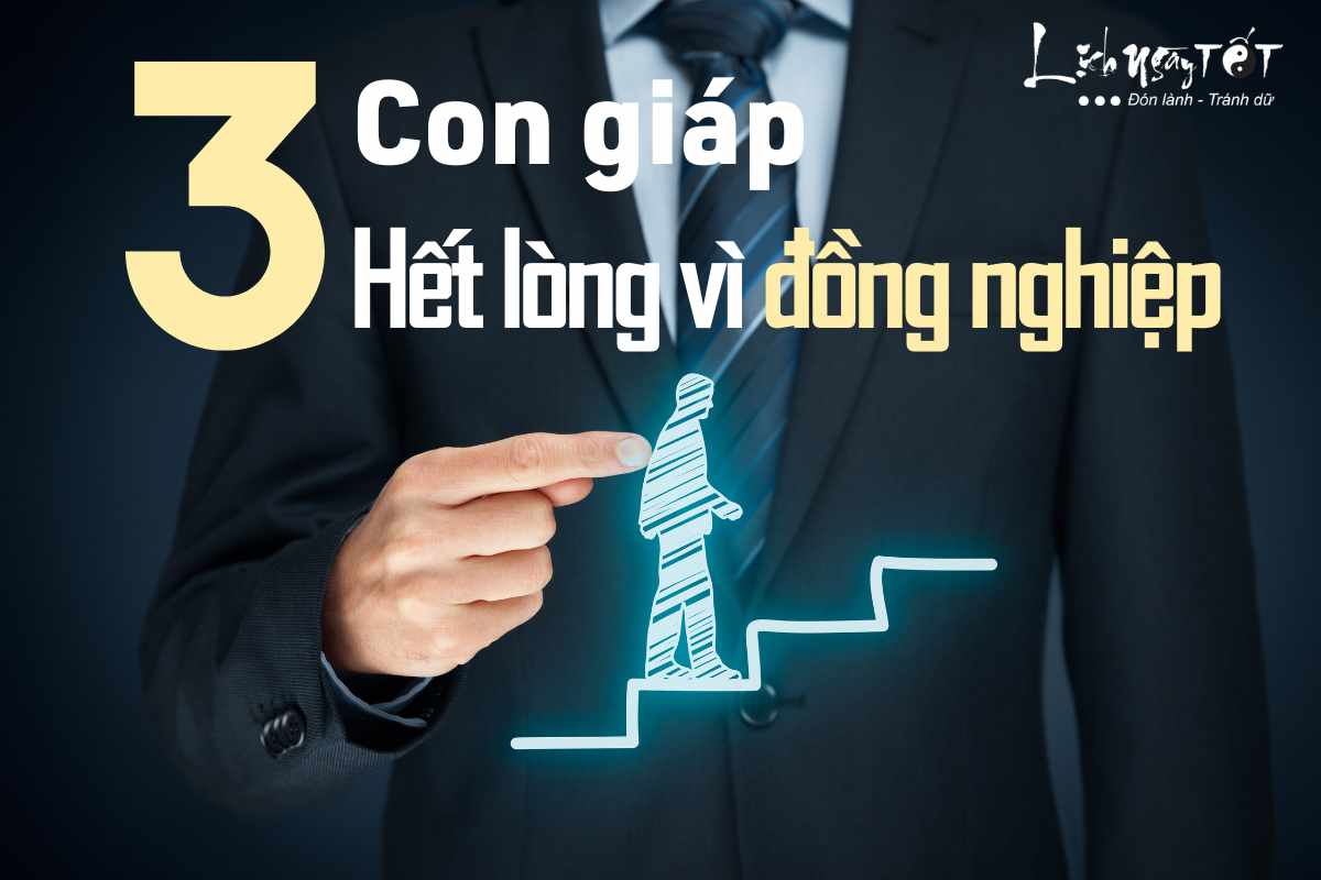 Con giap het long vi dong nghiep